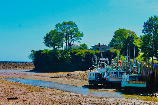 Bay Of Fundy Guided Tour - Good To Know