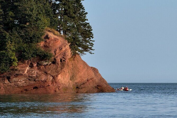 Bay Of Fundy Guided Tour - Pricing and Value Analysis