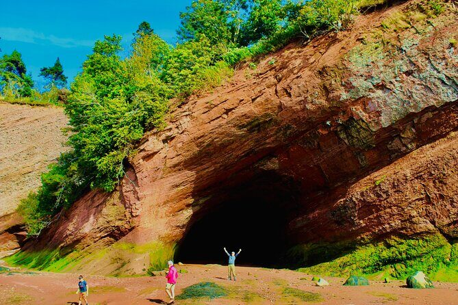 Bay Of Fundy Guided Tour - Who Should Consider This Tour?