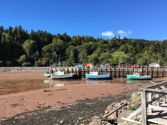 Bay of Fundy Tour by Luxury Car - Booking Information