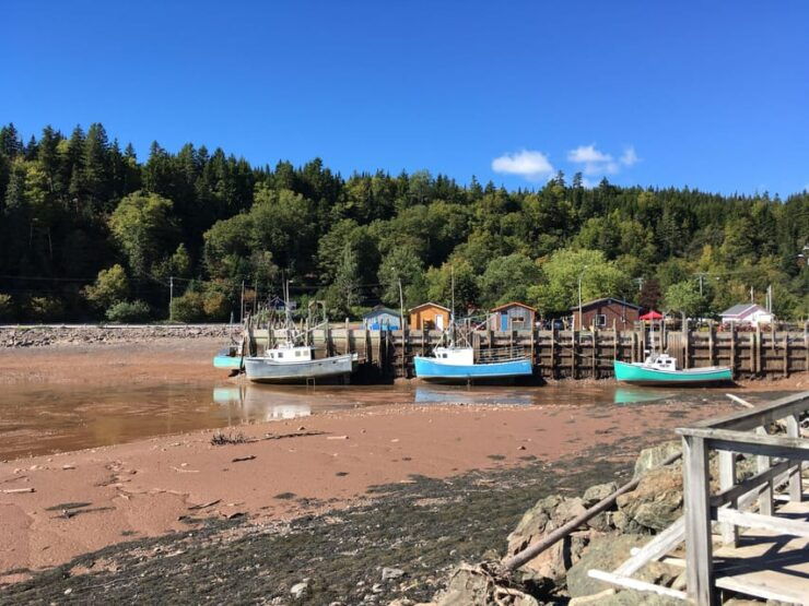 Bay of Fundy Tour by Mini Van - Itinerary Highlights