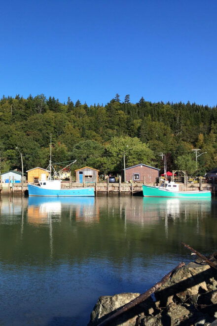 Bay of Fundy Tour by Mini Van - Booking Information