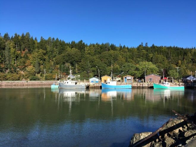 Bay of Fundy Tour by Mini Van - Customer Reviews