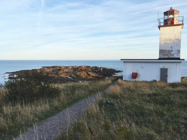 Bay of Fundy Tour by Mini Van - Private Group Experience