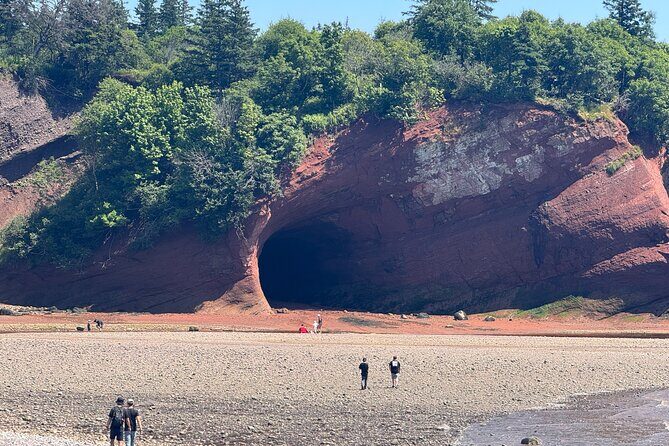 Bay of Fundy Tour Saint John NB - Transportation, Group Size, and Timing