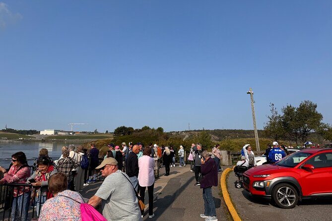 Bay of Fundy Tour Saint John NB - Final Thoughts: Is It Worth It?