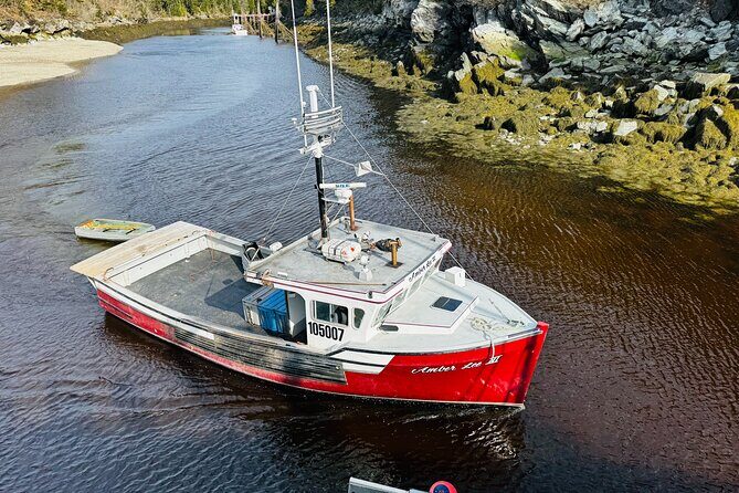 Bay of Fundy Tour Saint John NB - FAQs