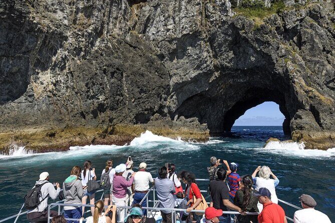 Bay of Island Day Tour with Hole in the rock cruise from Auckland - Why Choose This Tour?