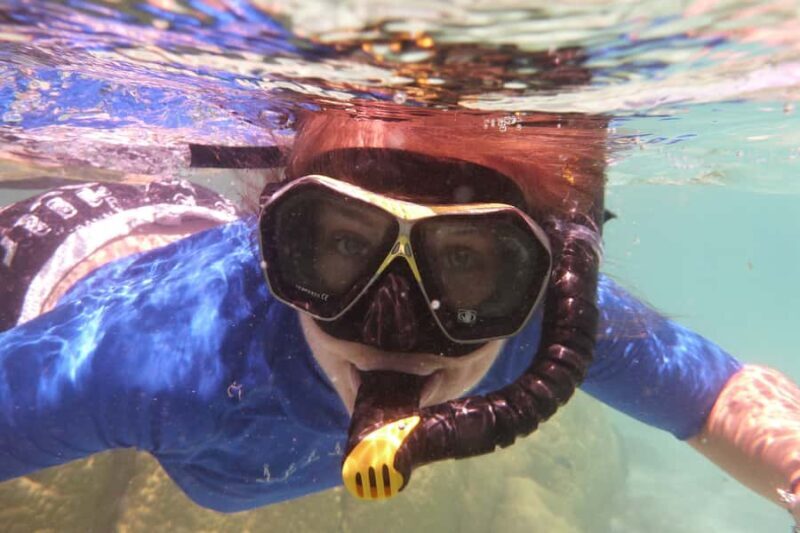 Bay of Islands: 4.5 Hour Day Cruise and Island Getaway Tour - Authentic Experiences from Reviewers