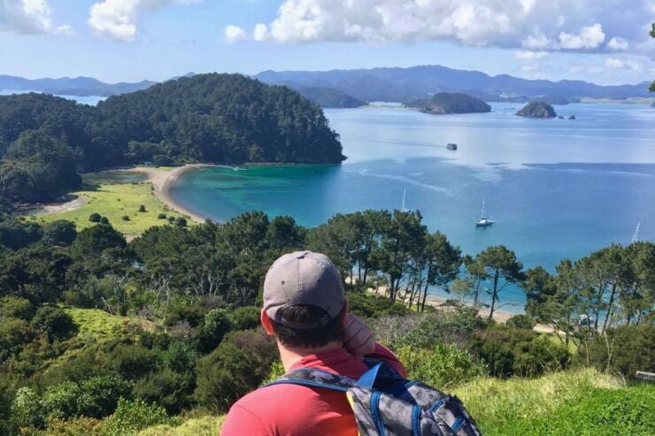Bay of Islands: 4.5 Hour Day Cruise and Island Getaway Tour - Activity Highlights