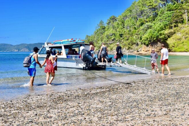 Bay of Islands: 4.5 Hour Day Cruise and Island Getaway Tour - Other Tour Options