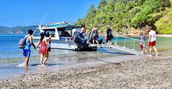 Bay of Islands: 4.5 Hour Day Cruise and Island Getaway Tour - Directions and Logistics