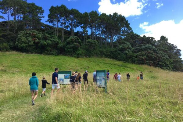 Bay of Islands: 4.5 Hour Day Cruise and Island Getaway Tour - The Sum Up