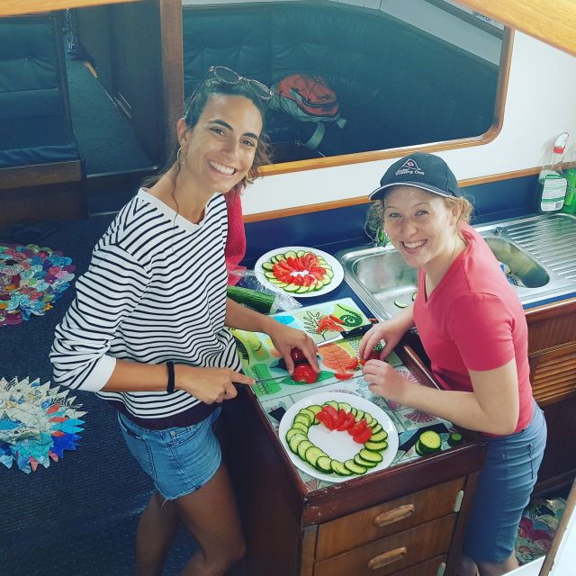 Bay of Islands: Awesome Day Sailing Tour With Island Stop - Similar Activities