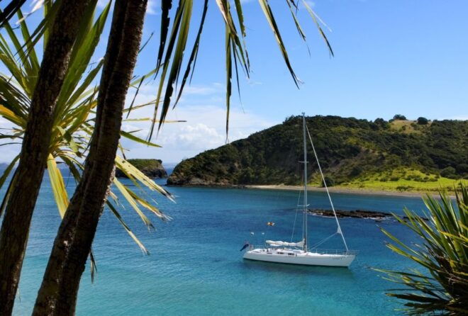 Bay of Islands: Awesome Day Sailing Tour With Island Stop - Customer Reviews
