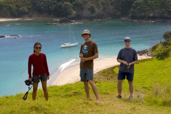 Bay of Islands: Awesome Day Sailing Tour With Island Stop - Common Questions