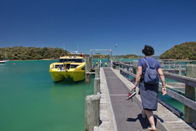Bay of Islands: Bay Discovery Cruise With Island Stop-Over - The Sum Up