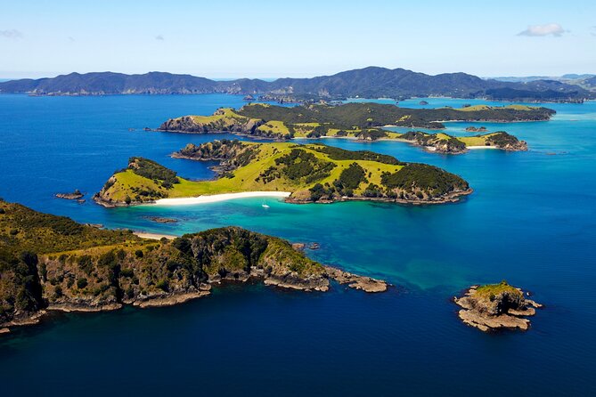 Bay of Islands Cruise & Island Tour - Snorkel, Hike,Swim,Wildlife - Cancellation Policy and Weather Conditions