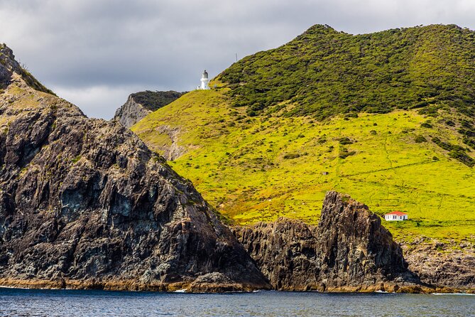 Bay of Islands Cruise & Island Tour - Snorkel, Hike,Swim,Wildlife - Overall Reviews and Ratings