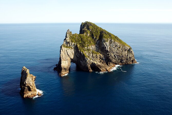 Bay of Islands Cruise & Island Tour - Snorkel, Hike,Swim,Wildlife - Common Questions