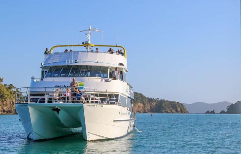 Bay of Islands: Discover the Bay Cruise with Island Lunch - Wildlife Watching and the Marine Environment