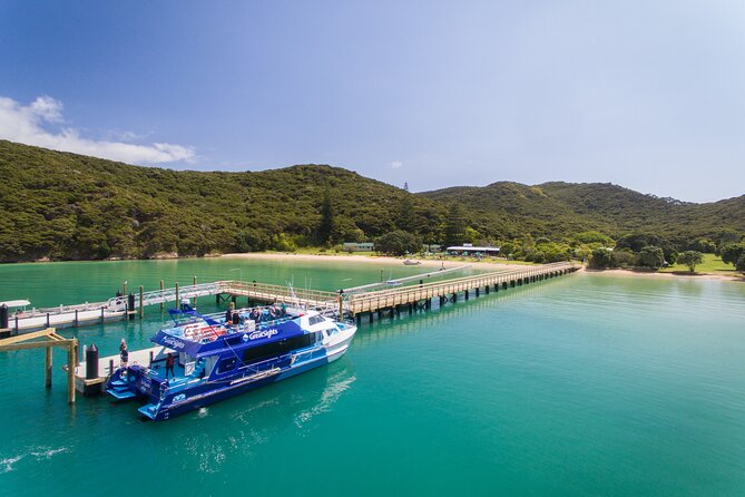 Bay of Islands Discovery Experience From Auckland Incl. Hole in the Rock Cruise - Food Options