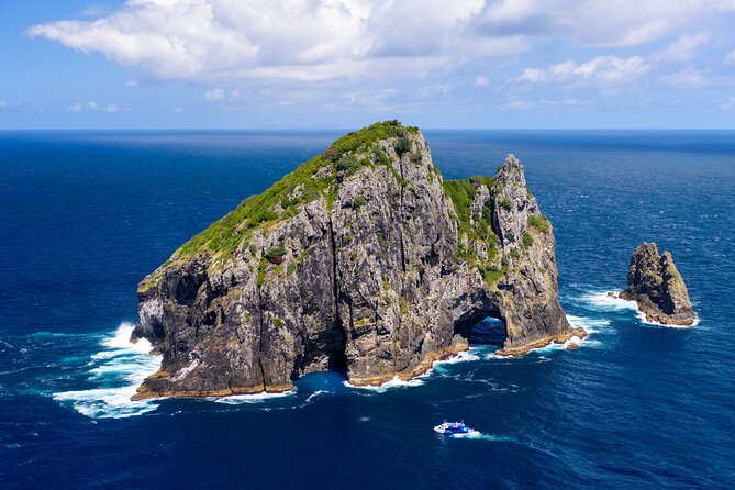 Bay of Islands Discovery Experience From Auckland Incl. Hole in the Rock Cruise - Common Questions