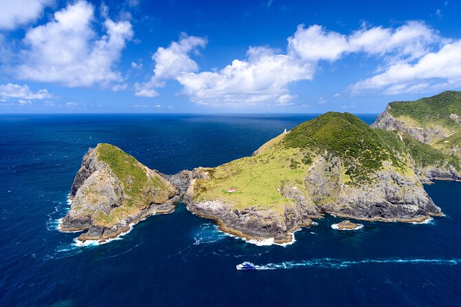 Bay of Islands Discovery Experience From Auckland Incl. Hole in the Rock Cruise - The Sum Up
