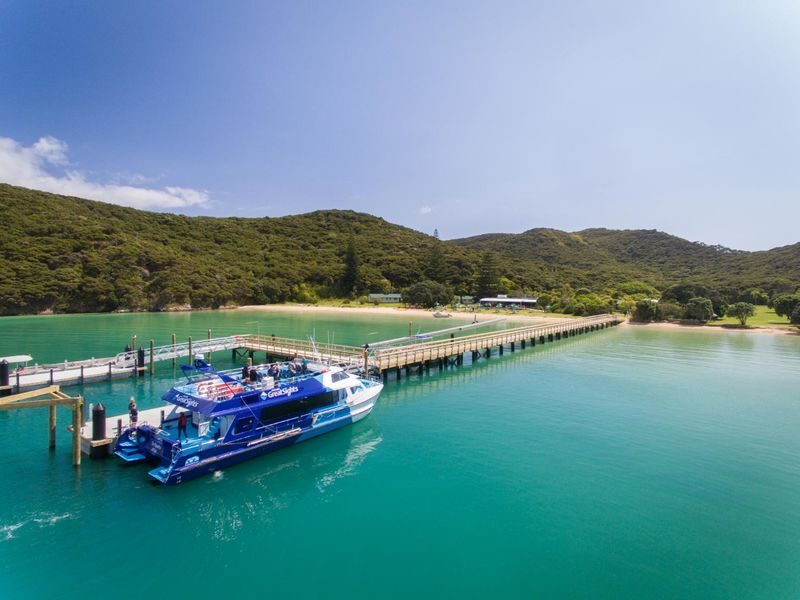 Bay of Islands Explorer Experience Small Group Tour - A full day shaped around two Bay of Islands sights