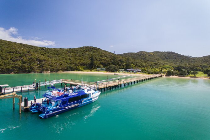 Bay of Islands Explorer Experience Small Group Tour From Auckland - Pricing and Booking Details