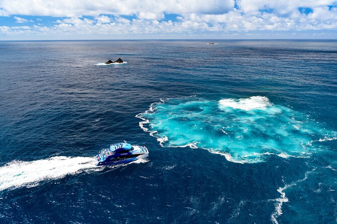 Bay of Islands Explorer Experience Small Group Tour From Auckland - Meeting Point and Transportation