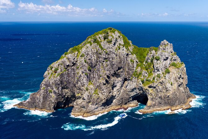 Bay of Islands Explorer Experience Small Group Tour From Auckland - Marine Mammal Interaction and Photography Tips