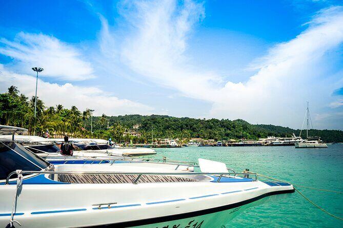 Bay of Islands Hole in the Rock Cruise Day Tour - The Highlight: Cruise to the Hole in the Rock
