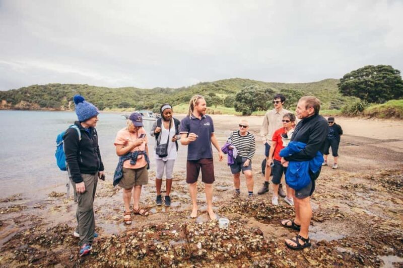 Bay of Islands Journey: Sail, Snorkel & Explore in 5 Days - Good To Know