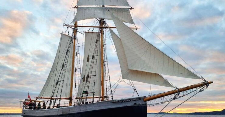 Bay of Islands: Late Afternoon Sailing Cruise - Activity Details