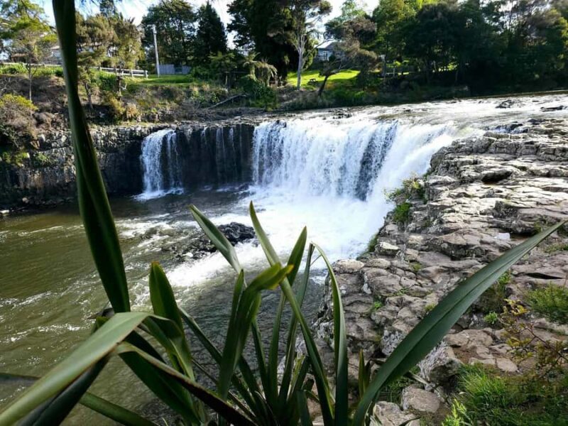 Bay of Islands - Mini Tour (75-90 mins) - Authentic Insights from Reviews