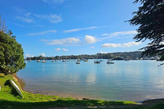 Bay of Islands - Mini Tour: (75-90mins) - Why This Tour Works Well
