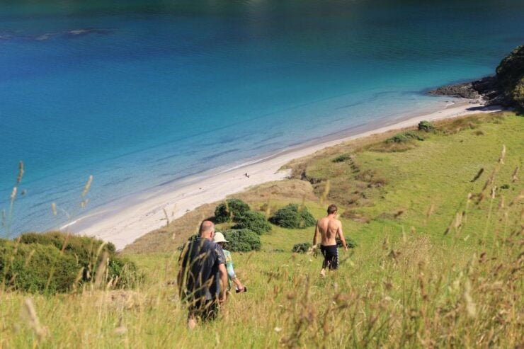 Bay of Islands: Sailing Catamaran Charter With Lunch - Highlights and Activities