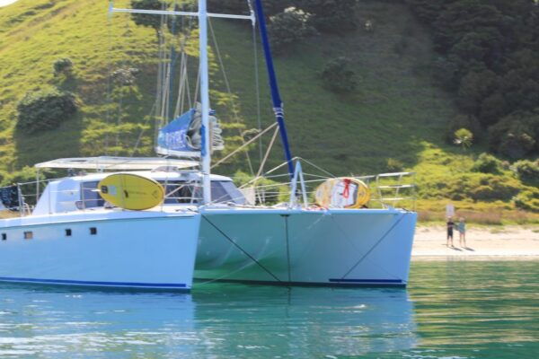 Bay of Islands: Sailing Catamaran Charter With Lunch - Common Questions