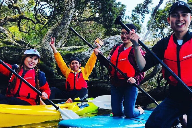 Bay of Islands Waterfall Cruise Kayaking Tour - Tour Details