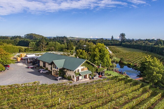Bay of Islands Wine Tour With Lunch - Wine Tasting