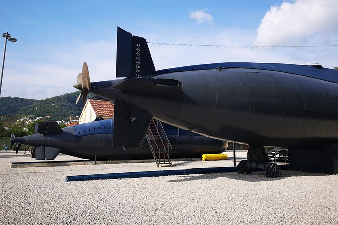 Bay of Kotor Tour by CRUISER TAXI DUBROVNIK - Meeting and Pickup