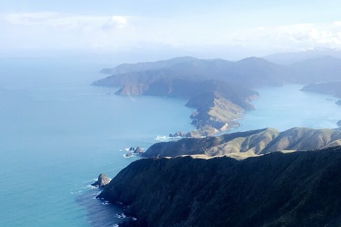 Bay of Many Coves Helicopter Tour With 3-Course Lunch From Wellington - Overview of Marlborough Sounds and Bay of Many Coves