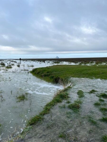 Bay of Mont Saint-Michel : At High Tide Guided Hike - Directions for Joining the Tour