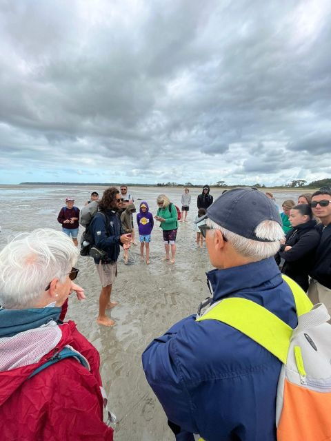 Bay of Mont Saint-Michel : Discovery And Quicksands - Customer Feedback