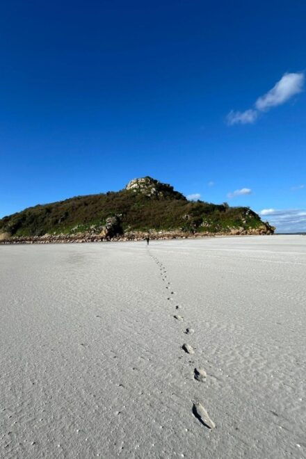 Bay of Mont Saint-Michel : Heading For Tombelaine Island - Booking Information