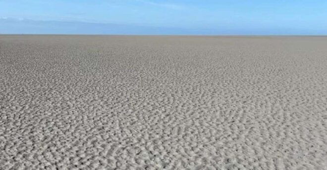 Bay of Mont Saint-Michel : Towards The Immensity - Important Information for Participants