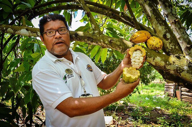 Bayaguana Countryside Safari from Juan Dolio/Boca Chica - Authentic Experiences and Practical Tips