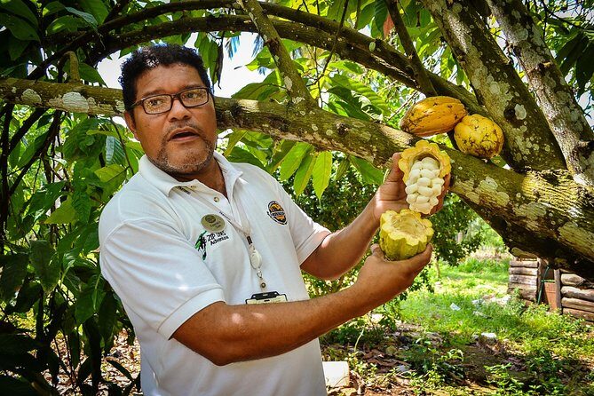 Bayaguana Countryside Safari from Juan Dolio/Boca Chica - The Sum Up