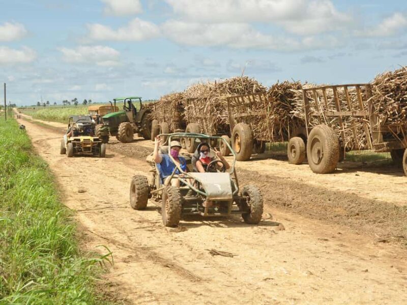 Bayahibe: Buggy and Horseback Riding Tour - Good To Know
